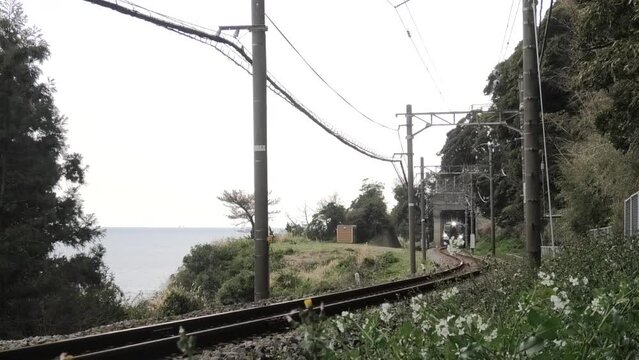 伊豆急行線　E257系