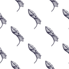 Banana leaves seamless pattern.Vintage tropical branch in engraving style.