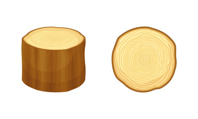 Woodworking industry materials. Saw cut tree trunk and stump cartoon vector illustration
