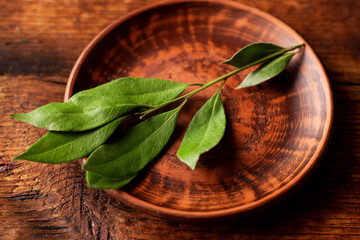 Bay leaves on a branch. on a clay plate. Wooden background.