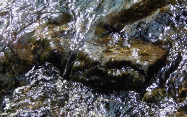 Eau calme s'écoulant dans le lit d'une rivière