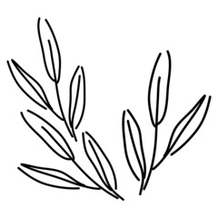 Long branch with leaves. Olive branch. Fresh leaves. Simple, doodle, modern style. Nature summer. Silhouette.