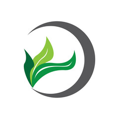 leaf logo vector ilustration design and icon