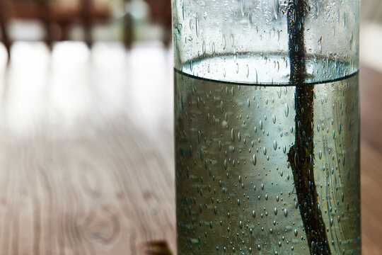 Closeup Of A Repurposed Glass Pitcher Used As A Vase