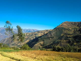 Naklejka premium Landscape in the altiplano of the Peruvian Andes