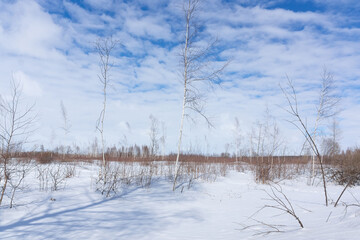 Winter sunrise in Russia nature landscape