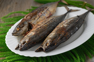 Freshly caught fish, young wild tuna smoked on white ceramic plate