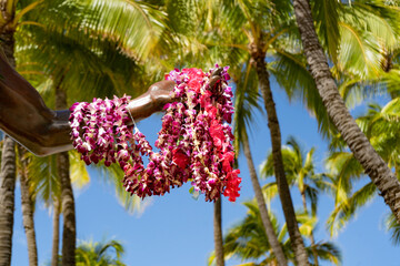 Arm of Duke Kahanamoku's iconic statue full of leis in Hawaii