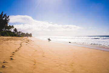 A surfer holding his surfboard on the sea shore in Hawaii