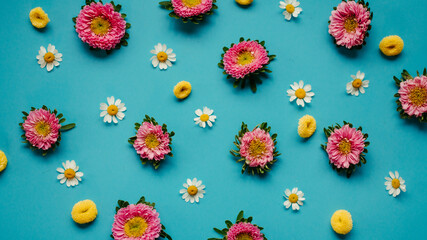 Fototapeta na wymiar Overhead Shot of Colorful Flowers on a Bright Blue Background