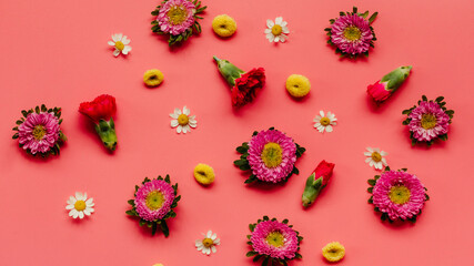 Overhead Shot of Pink and Yellow Flowers on a Bright Pink Background