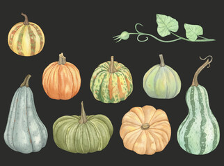 Watercolor Autumn Pumpkins set isolated on a white background.