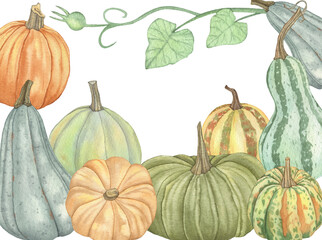 Watercolor Autumn Pumpkins Frame isolated on a white background.