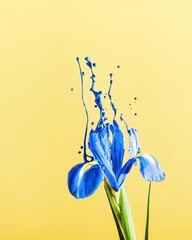 ukrainian symbol hope spring blue blooming flower in yello background
