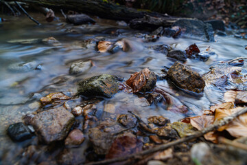 Stones in the silky water in a forest with leave around