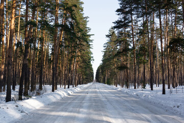 Road in Russia forest with covered snow. Winter time. Landscape