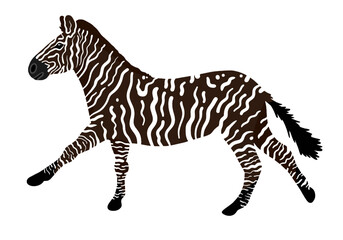 Fototapeta na wymiar Galloping melanistic zebra vector illustration. Rare animals vector