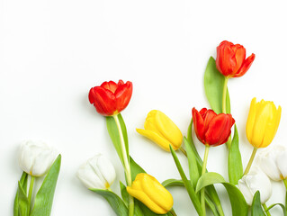 composition of tulips on a light gray background