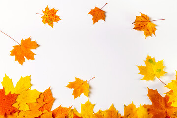 Naklejka na ściany i meble Image with autumn leaves.