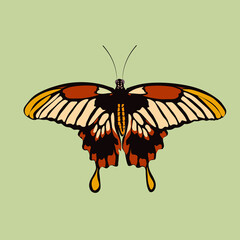 Fototapeta na wymiar Beautiful butterfly isolated on background.Graphic object. Modern insect vector graphics for banners, logos, posters, patterns.