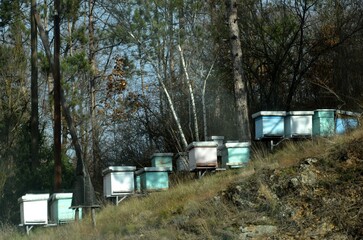 Fototapeta na wymiar blue and white hives on the hill