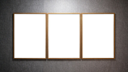 Blank Triple Picture Frames