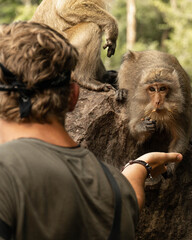 Male tourist feeding the adorable furry macaque in the zoo