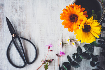 flores de caléndula en un bote de metal, con unas tijeras pequeñas de jardinería, sobre una mesa de madera blanca con textura