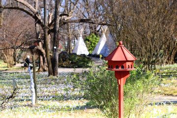 Cute red birdhouse in the beautiful park. Early spring day. Selective focus.