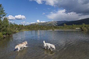 lake in the mountains