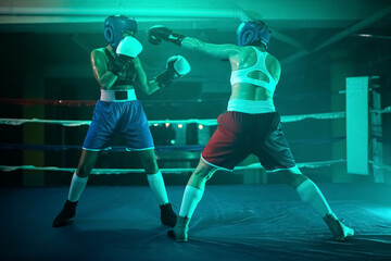 Female boxers practicing active boxing on ring. Two young girls performing intense bout, improving...