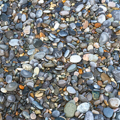 colored sea pebbles on a rocky beach close-up