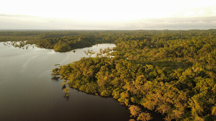 Lakeside dense green forest against a cloudy sky on a gloomy day