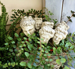 View of white marble head sculptures surrounded by button ferns in the pot