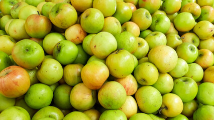 Fresh and healthy Apple fruit photo 