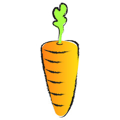 carrot vector illustration for design concept