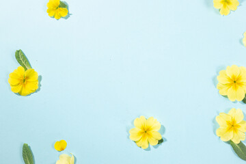 Blue background with yellow flowers