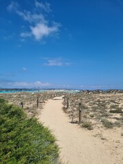 sand dunes and beach
