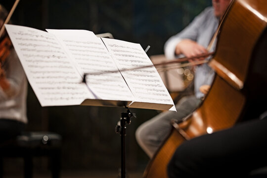 Person playing chello at a concert
