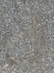 Mit Steinen bedeckter Boden am Wald