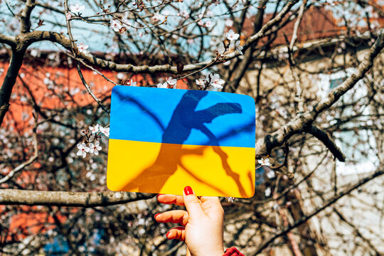  Ukrainian flag outdoors on a sunny day in rural area. 