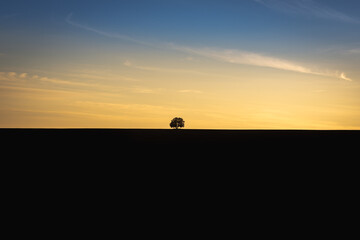 Fototapeta na wymiar Sunset yellow with blue, in the distance a field and a tree silhouette.