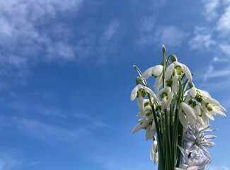 Blumenstrauß mit Schneeglöckchen und Blaustern unter blauem Himmel mit Schleierwolken