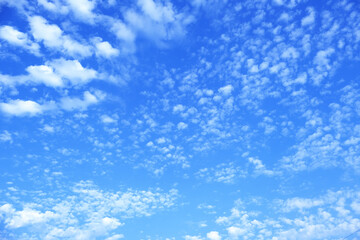Blue sky and white cloud.