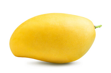 Mango isolated. One ripe sweet yellow mango on a white background.