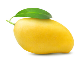 Mango isolated. One ripe yellow mango with a green leaf on a white background.