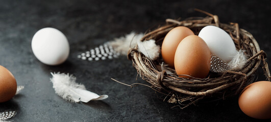 Eier im Nest vor dunklem Hintergrund - Banner