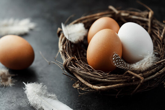 Eier im Nest vor dunklem Hintergrund