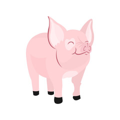 Isolated pink pig turtle animated animals jungle vector illustration