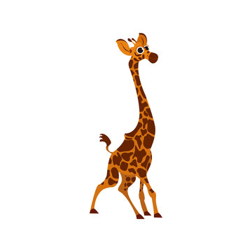 Isolated african giraffe animated animals jungle vector illustration